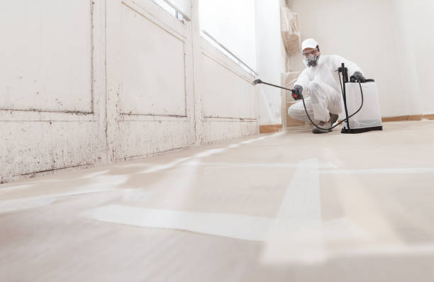 24/7 Emergency Mold Testing experts in Georgetown, MA