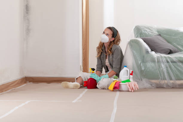 Reliable Mold Testing contractor in Georgetown, MA by WQB Mold Removal